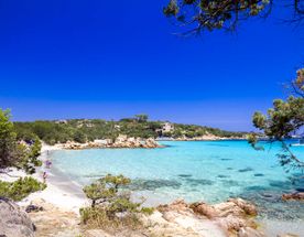 Сардиния - Корсика. All Inclusive