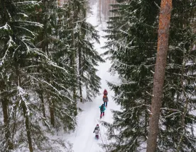 Пеший поход в Крутовский заказник с теплой ночевкой