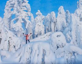 Новый год в Перми: Усьвинские столбы, Каменный город, Губаха