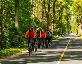 Bike Camp. Новые маршруты mini - велотур выходного дня по Калининградской области