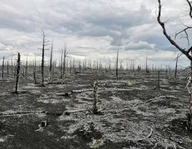 Джип тур к вулкану Толбачик