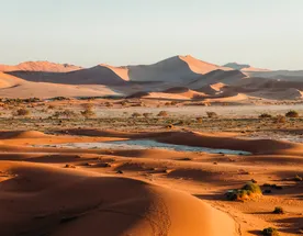 Джип-сафари: встреча с дикой природой Намибии