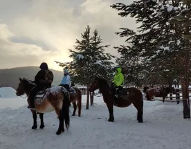 Новогодний мультитур Малиновые приключения 3дн