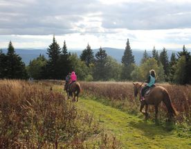Конно-пеший мультитур 3 дня/2 ночи