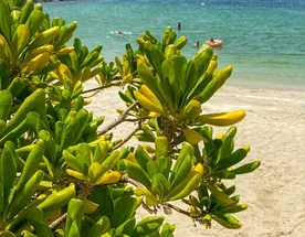 Девичник в Дубае