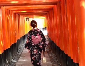 Навстречу гейшам и самураям. Япония на цветение и фестиваль 2026