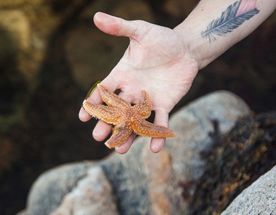 Соловки  Где Природа Встречается С Историей