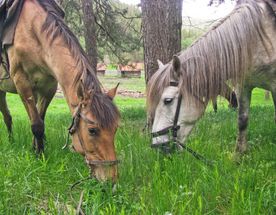 Поход по Уралу: горы и реки