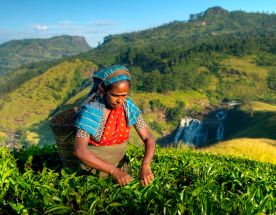 Тайская рапсодия. Яхт-тур по Таиланду. 8 дней.
