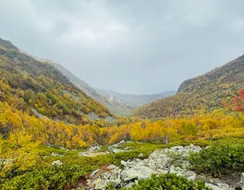 Конный тур «Осень в Архызе»