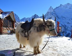 Снежный Домбай+Архыз. Экскурсии+катание/обучение!