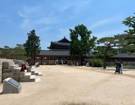 Весна в Южной Корее: Симфония Сакуры и Морского Бриза