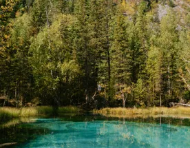 Лучшее на Алтае Зимой, 5 дней