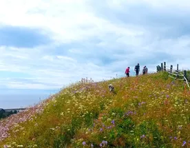 Отдых на Белом море: Пурнема и Лямца