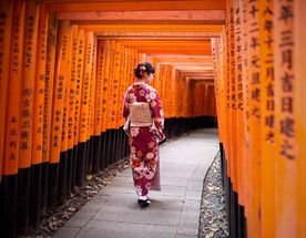 Все в сад. Сакура цветет!