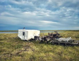 ТАЙМЫР:  с экспертами РГО и учёными - этнографами Кунсткамеры