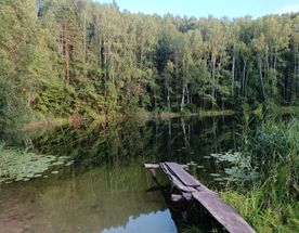 Поход «Короткие ночи» в лесу Марий Эл