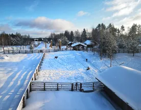 Тур на 3 дня Новый Год в эко-Карелии