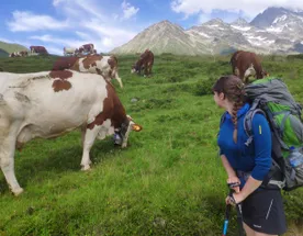 Поход вокруг Монблана