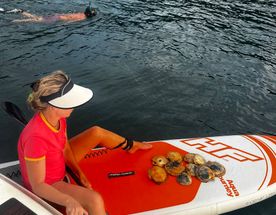 Яхтинг во Владивостоке. Залив Петра Великого