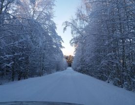 Однодневный конный поход Великорецкое - Горохово