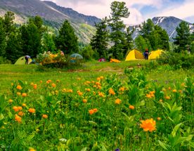 Большое путешествие через весь Алтай за 14 дней. Комбинированный тур без рюкзаков