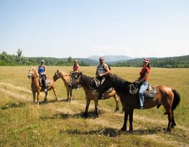 По Уральским хребтам
