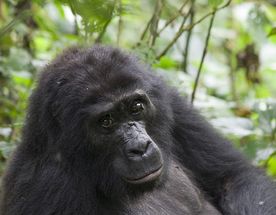 12-дневная экскурсия 