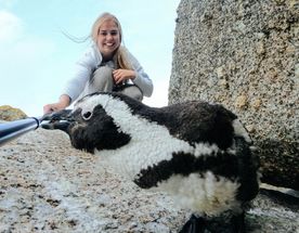 Юар: На краю земли! Киты, Пингвины, Гепарды, Зебры, Сафари...