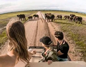3 Days Safari At Tarangire  Park, Ngorongoro & Kilimanjaro M