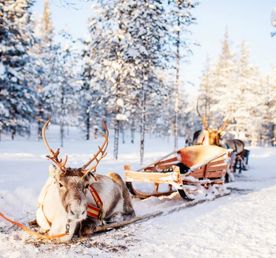 На Русском Севере сбываются желания! Новый год в Карелии