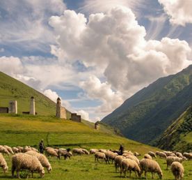 Осетия  Ингушетия за 5 дней. Все включено: горы, кухня и танцы!