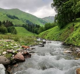 Хачапур и бархатный сезон в Абхазии-4 дня