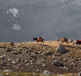 Фанские горы без рюкзаков — тур по Таджикистану