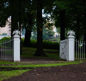 День Святого Мартина и другие приключения итальянцев в Петербурге