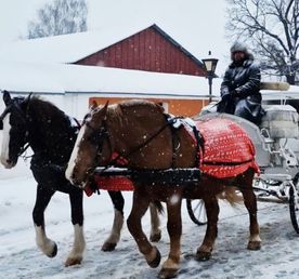 Жаркий Новый год в сказочной Рязани