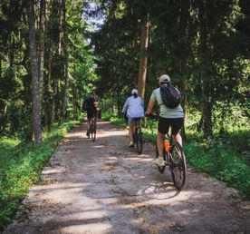 Велопрогулка в Национальном парке Куршская коса