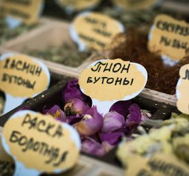 Пряные да медовые тайны Мещёры