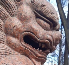 Японская осень в Петербурге