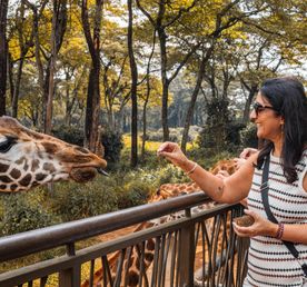 Full-Day Nairobi Wildlife Tour: Park, Elephant Orphanage & Giraffe Centre