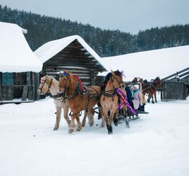 Тур на Масленицу