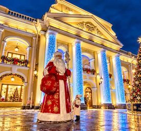 Встреча Нового Года в Санкт-Петербурге! Новогодний тур из Москвы