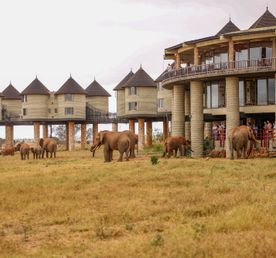Taita Hills & Tsavo Safari