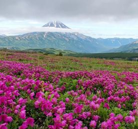 Вулканы Камчатки