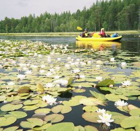 Сплав по реке Калга с выходом в Белое море