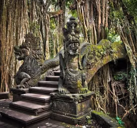 A 13-Day Journey of Culture, Nature, and Connection