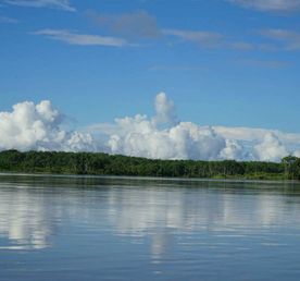 Amazon Adventure in Yasun 7 Days