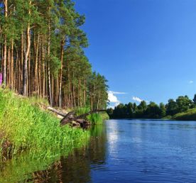 Сплав по реке Пра на байдарках (Рязанская область)