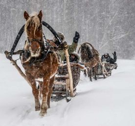 Конные сани: русская экзотика. Тур на 4 дня