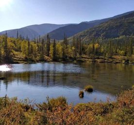 Осень на Кольском